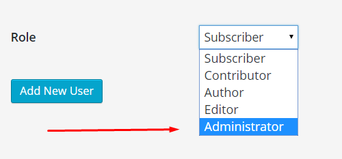 admin user role in WP