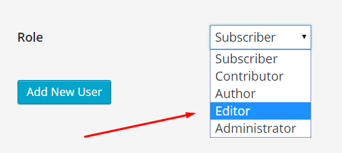 editor account in WordPress