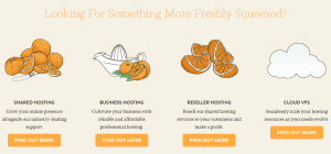A Small Orange Review: Hosting options