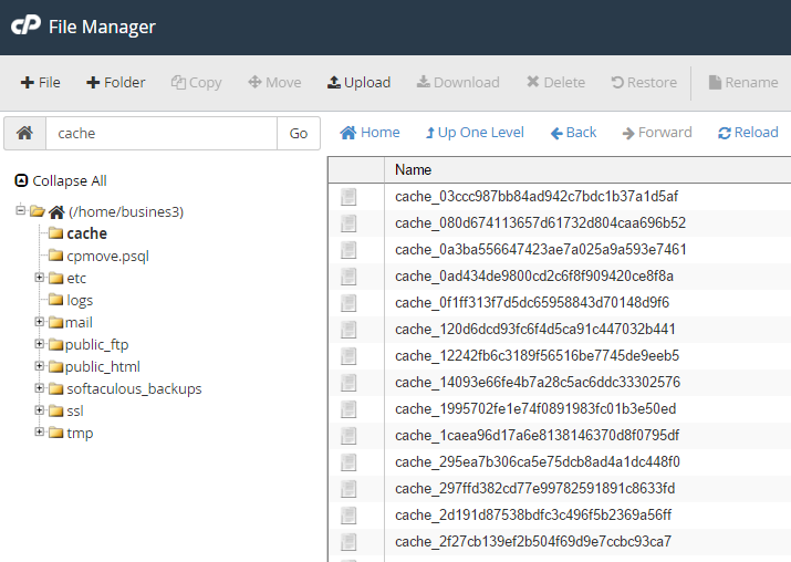 download folder cpanel file manager