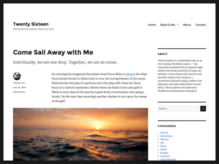 wordpress website