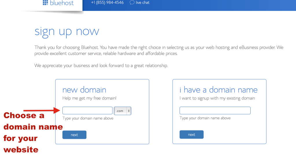 Choosing a domain name