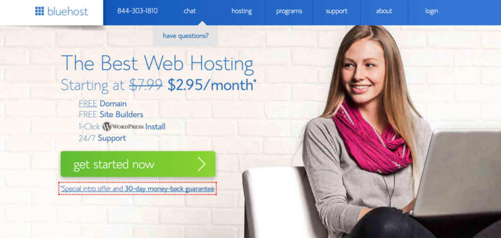 bluehost review