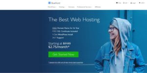 bluehost homepage