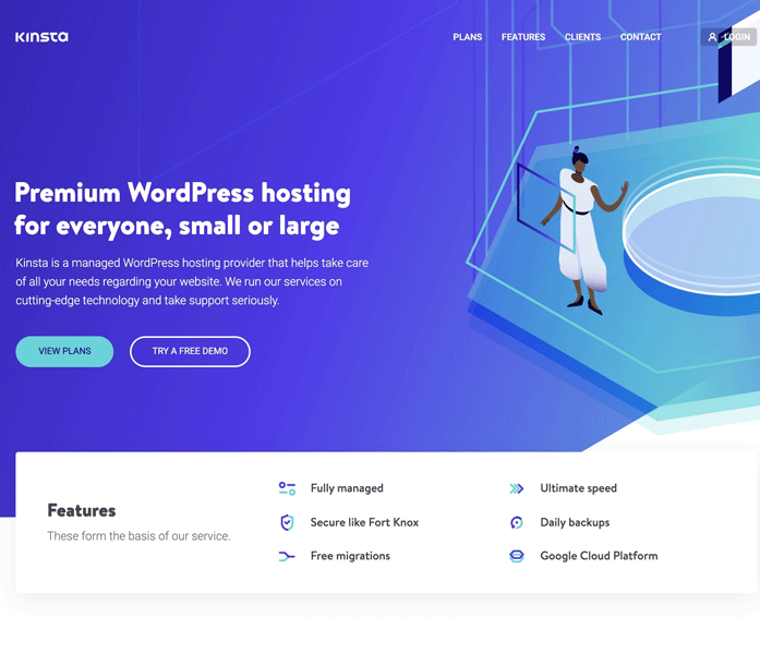 Kinsta hosting